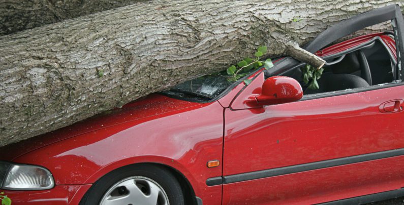 Benton Teen Tragically Killed in Car Accident